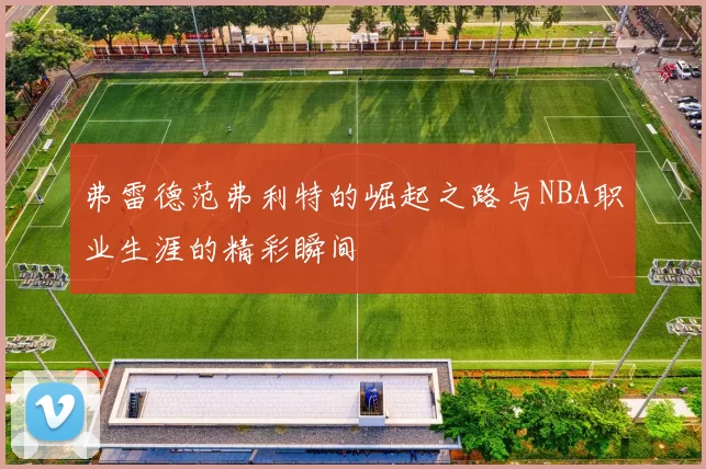 弗雷德范弗利特的崛起之路与NBA职业生涯的精彩瞬间
