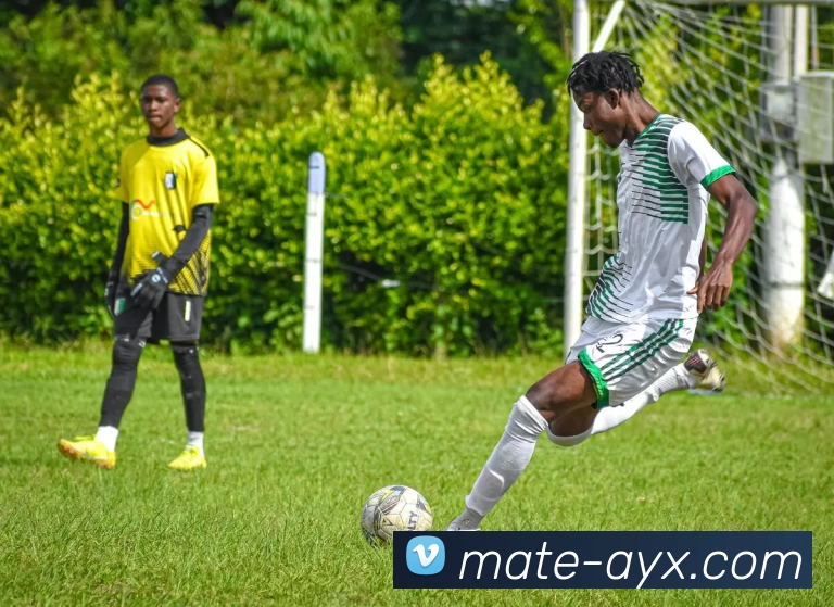 天津权建迎战重庆队全力争胜力争联赛佳绩